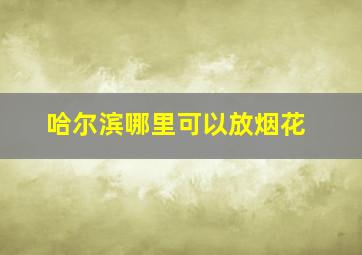 哈尔滨哪里可以放烟花