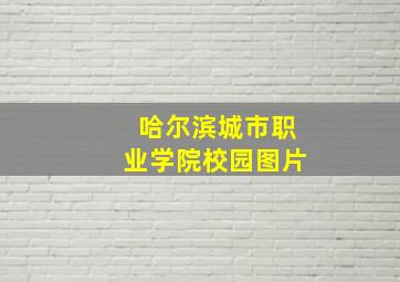 哈尔滨城市职业学院校园图片