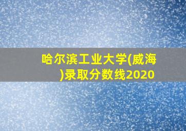 哈尔滨工业大学(威海)录取分数线2020