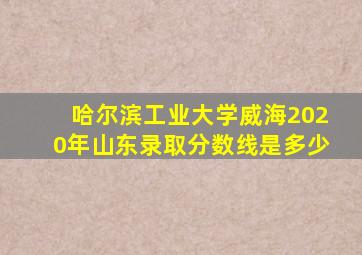 哈尔滨工业大学威海2020年山东录取分数线是多少