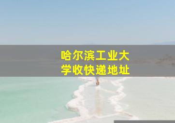 哈尔滨工业大学收快递地址