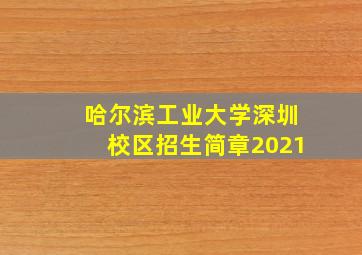 哈尔滨工业大学深圳校区招生简章2021