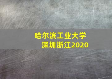 哈尔滨工业大学深圳浙江2020