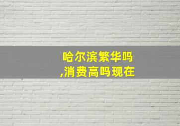 哈尔滨繁华吗,消费高吗现在