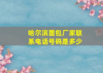 哈尔滨面包厂家联系电话号码是多少