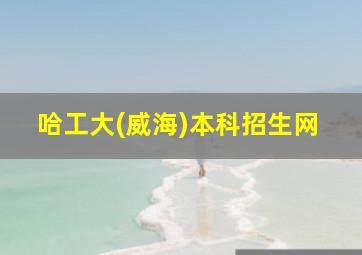 哈工大(威海)本科招生网