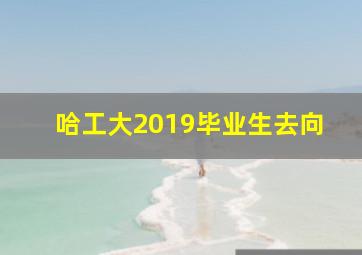 哈工大2019毕业生去向