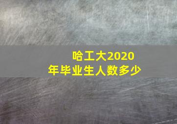 哈工大2020年毕业生人数多少