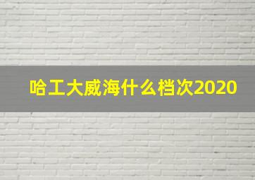 哈工大威海什么档次2020