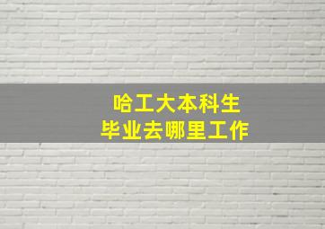 哈工大本科生毕业去哪里工作