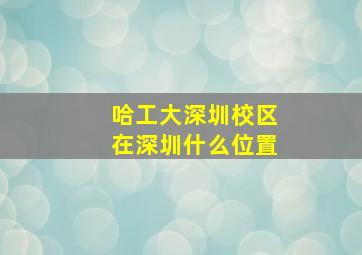 哈工大深圳校区在深圳什么位置