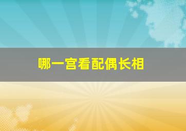 哪一宫看配偶长相