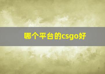 哪个平台的csgo好