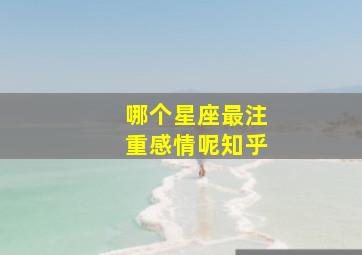 哪个星座最注重感情呢知乎