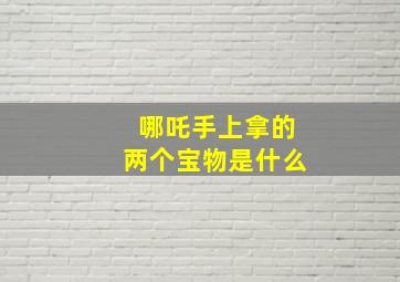 哪吒手上拿的两个宝物是什么