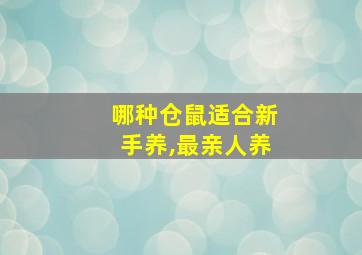 哪种仓鼠适合新手养,最亲人养