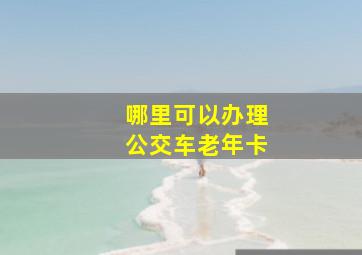 哪里可以办理公交车老年卡