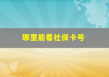 哪里能看社保卡号