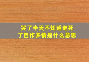 哭了半天不知道谁死了自作多情是什么意思