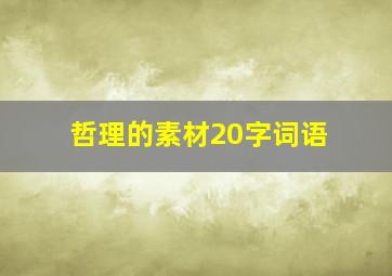 哲理的素材20字词语