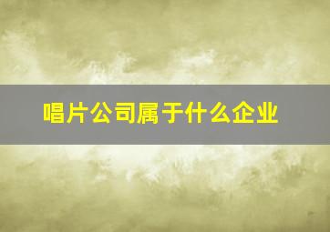 唱片公司属于什么企业