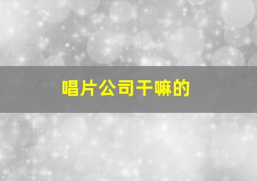 唱片公司干嘛的