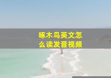 啄木鸟英文怎么读发音视频