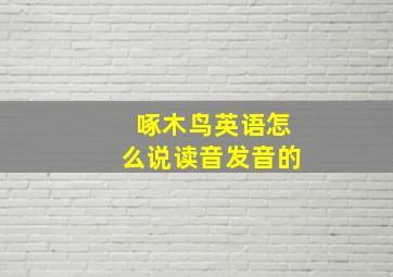 啄木鸟英语怎么说读音发音的