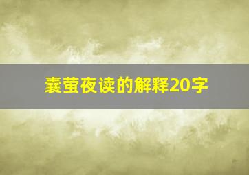 囊萤夜读的解释20字