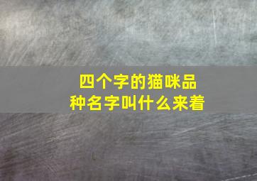 四个字的猫咪品种名字叫什么来着