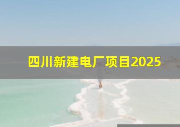 四川新建电厂项目2025