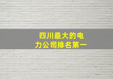 四川最大的电力公司排名第一