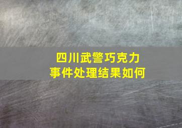 四川武警巧克力事件处理结果如何