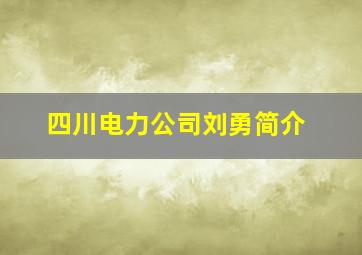 四川电力公司刘勇简介