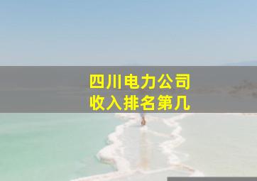 四川电力公司收入排名第几