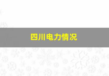 四川电力情况