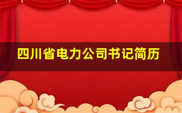 四川省电力公司书记简历