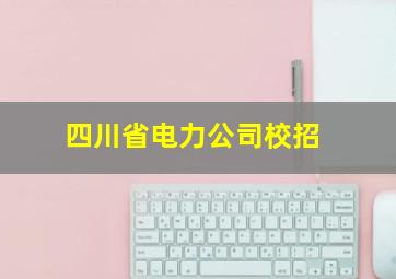 四川省电力公司校招