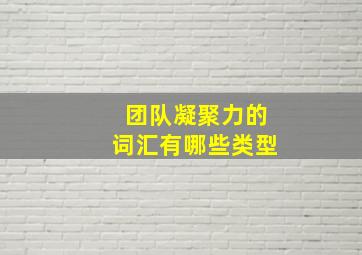 团队凝聚力的词汇有哪些类型