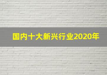 国内十大新兴行业2020年