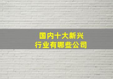 国内十大新兴行业有哪些公司