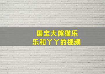 国宝大熊猫乐乐和丫丫的视频