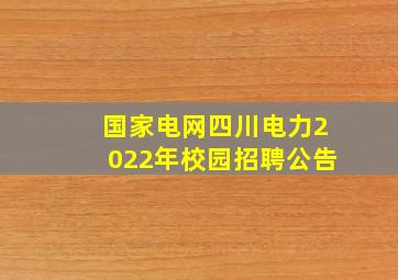 国家电网四川电力2022年校园招聘公告