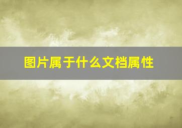 图片属于什么文档属性