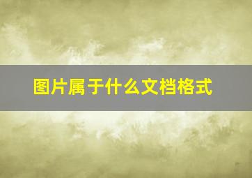 图片属于什么文档格式