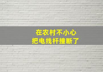 在农村不小心把电线杆撞断了