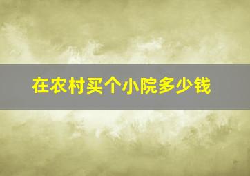 在农村买个小院多少钱