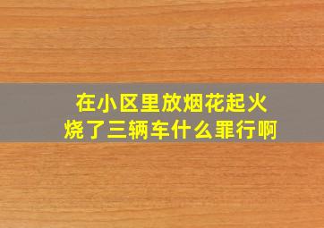 在小区里放烟花起火烧了三辆车什么罪行啊