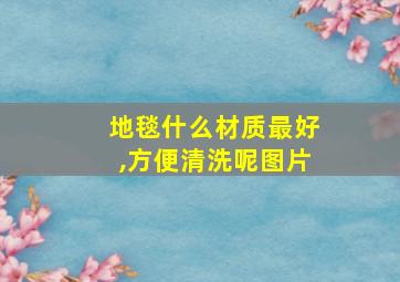 地毯什么材质最好,方便清洗呢图片