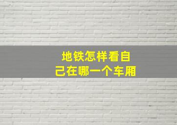 地铁怎样看自己在哪一个车厢